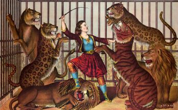 Hameeseen pukeutunut nainen kouluttaa tiikerilaumaa sirkushäkissä.
